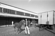 Pferdemarkt Muenchen 1996 14.jpg