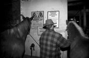 Pferdemarkt 1996. Die Pferde wurden im Morgengrauen angeliefert und in die Halle verbracht