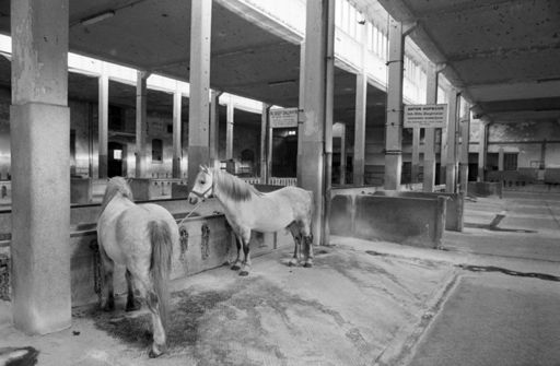 Datei:Pferdemarkt Muenchen 1996 12.jpg
