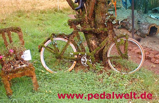 Pedalwelt.jpg