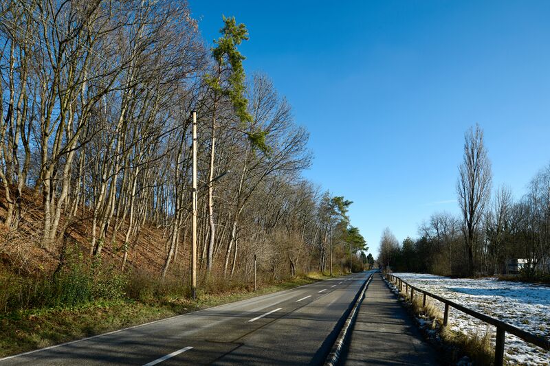 Datei:Muewilhreichard122021.jpg