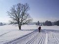Vorschaubild der Version vom 19:40, 29. Jan. 2006
