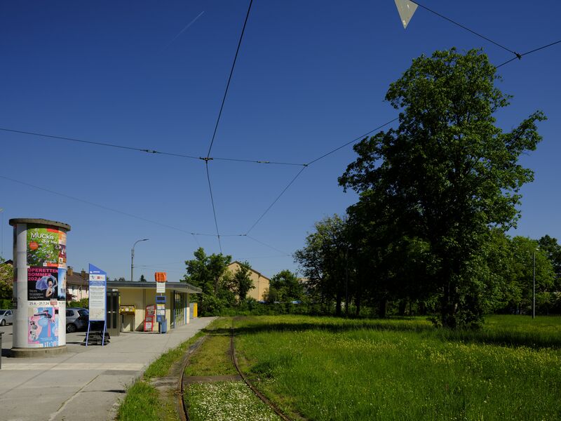 Datei:Muegrondrell052024.jpg