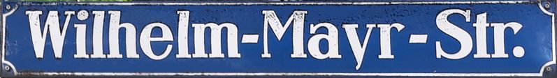 Datei:Wilhelm-Mayr-StrSch.jpg