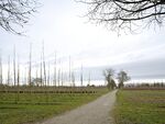 Muelimbaumsch0c022024.jpg