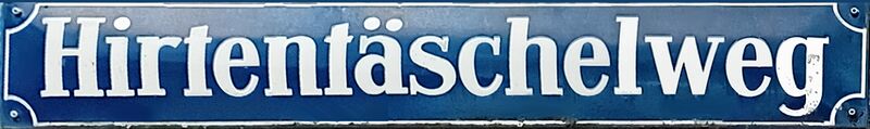 Datei:HirtentäschelwegSch.jpg