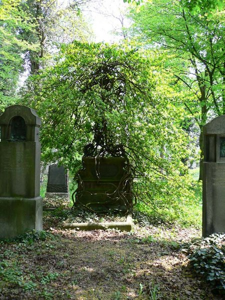 Datei:Suedfriedhofnatur.jpg