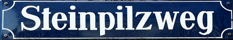 Datei:SteinpilzwegSch.jpg