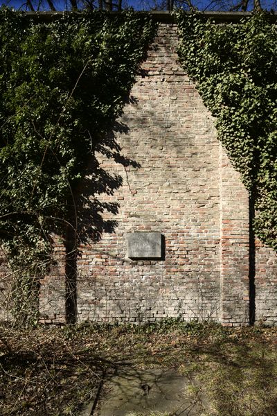Datei:Muesuedfrneuearkaden112022019.jpg