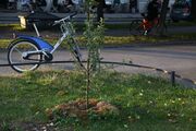 Urban Gardening