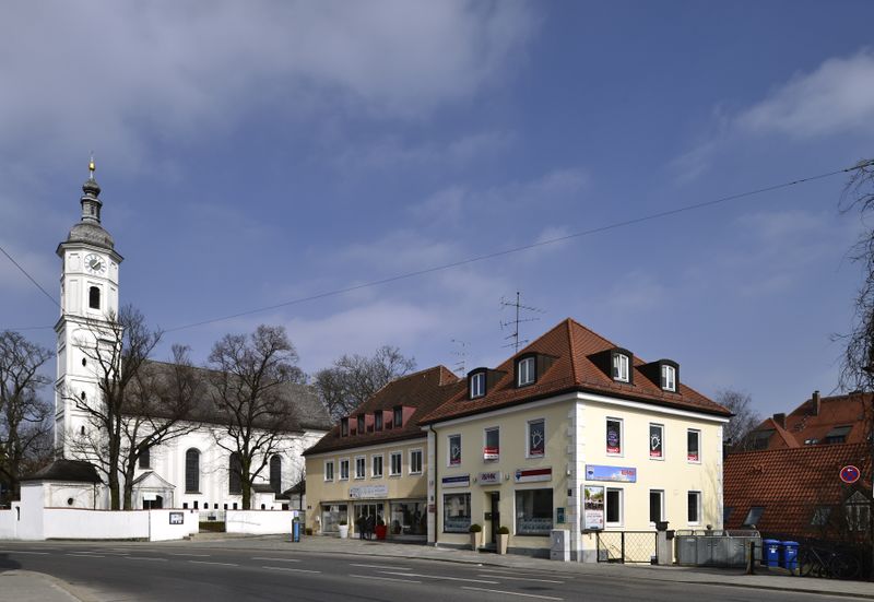 Datei:Mueplinganser5032016.jpg
