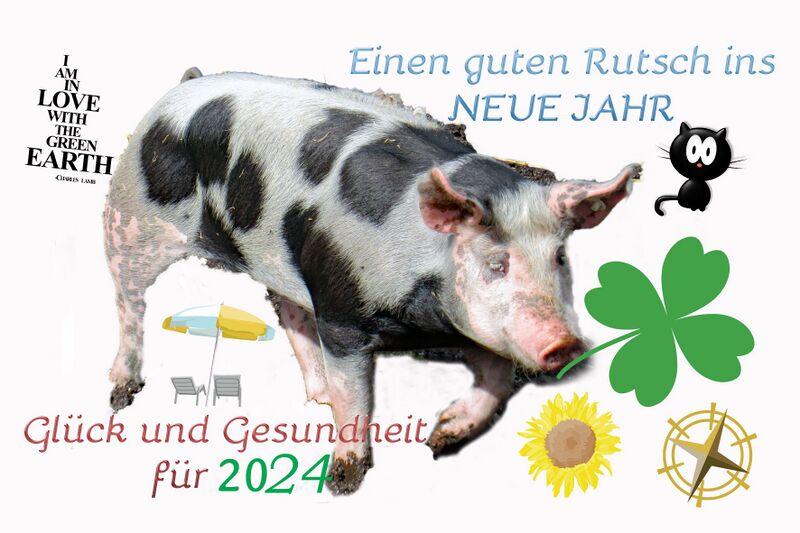 Datei:Neujahr 2024.jpg