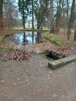 HartmBach20251116 130209.jpg