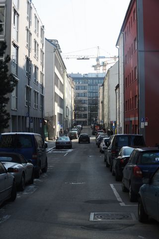 Muelinprunstr022011c90.jpg