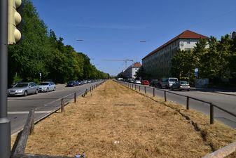 Ab dem Scheidplatz fällt der Blick bis hinauf zum Petuelring.