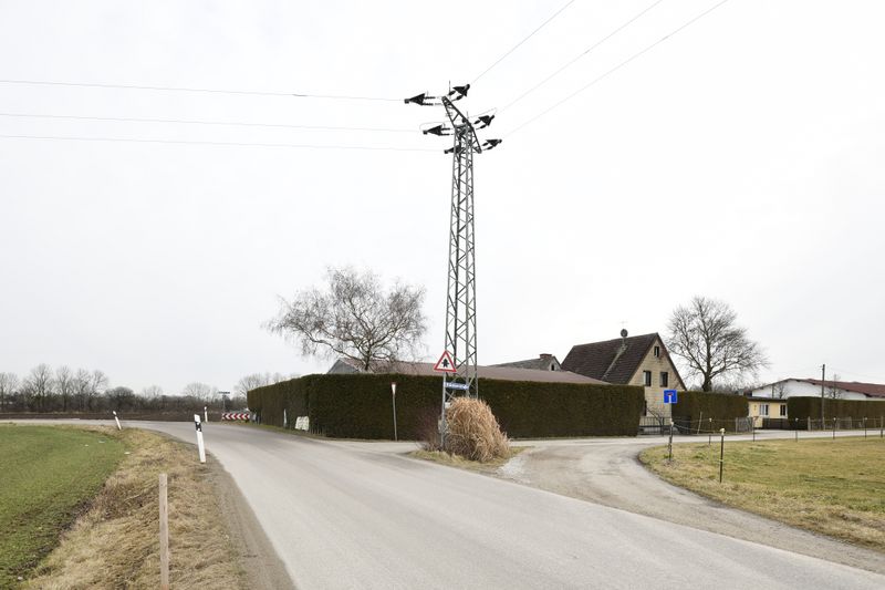 Datei:Muebroddornkuest0120220c99.jpg