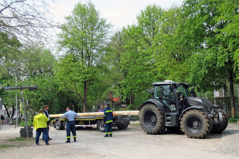 Datei:Maibaum.jpg