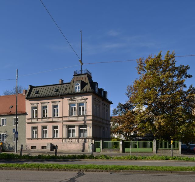 Datei:Mueplinganser64112014.jpg