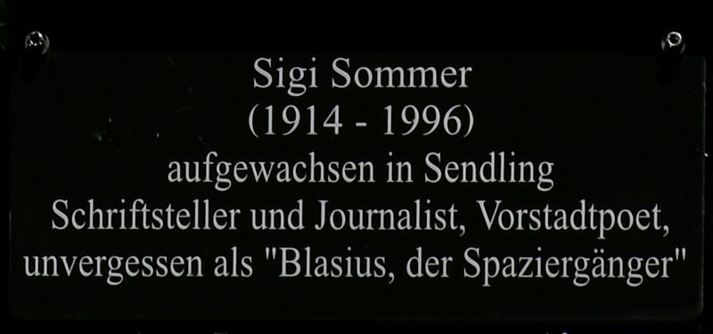 Datei:Muessommerplta.jpg