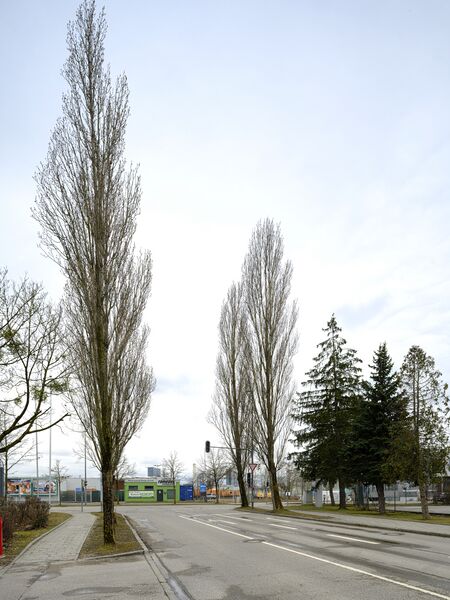 Datei:Muehwesselbogenkr032026.jpg