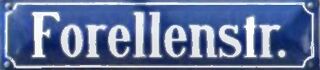 ForellenstrSch.jpg