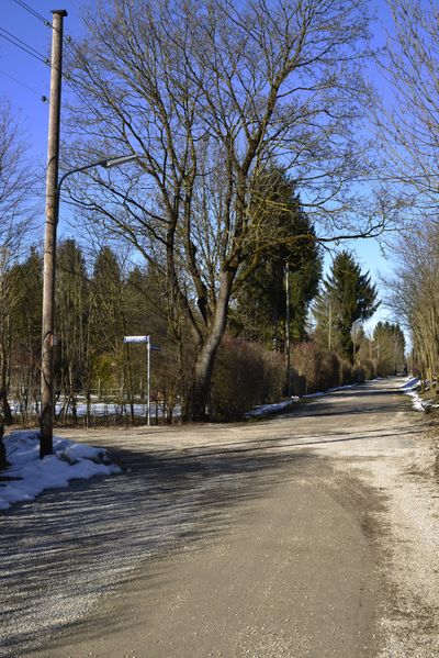 Datei:Muefeldbstr022015c85.jpg