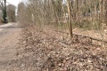 Vorschaubild der Version vom 21:31, 28. Jan. 2012