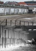 Einstellstallungen Viehhof, 2015 und 1996