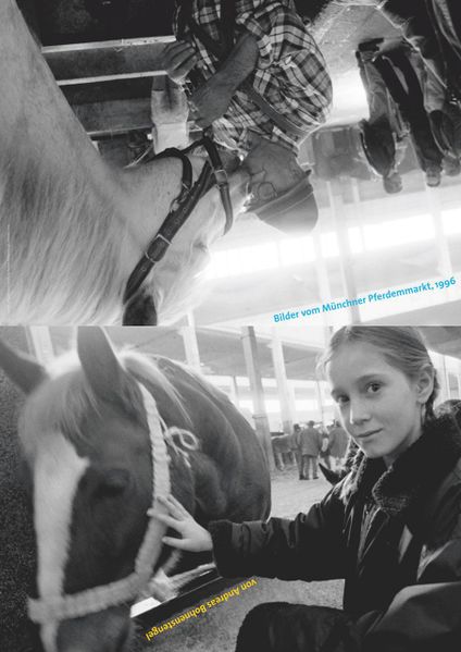 Datei:Bilder vom Muenchner Pferdemarkt 1996 Plakat DIN A1 2019.jpg