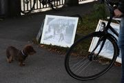 Baldeplatz Muenchen 24.jpg