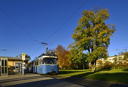 P-Wagen 2006 an der Trambahnhaltestelle am Gondrellplatz im Oktober 2017.