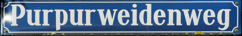 Datei:Muepurpurwwegsch.jpg