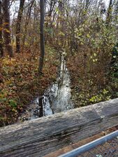 Der Bach an der Allacher Straße