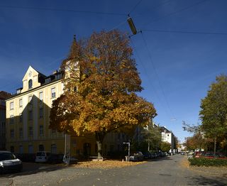 Mueainmilroemerstr102021c85.jpg