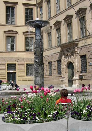 Sie sucht ihn in wolfach