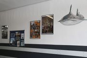 Ausstelllung Moby Dick 2020 04.jpg