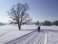 Vorschaubild der Version vom 19:10, 29. Jan. 2006