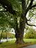 Mueroethlinde102026dt.jpg