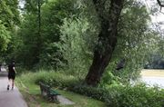 Soll angeblich gesund sein: Joggen