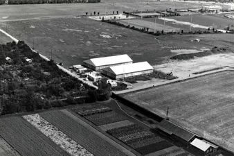 Gegenüber dem Botanischen Garten, das Kapuzinerhölzl. Im Jahr 1977.