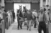 Pferdemarkt Muenchen 1996 05.jpg