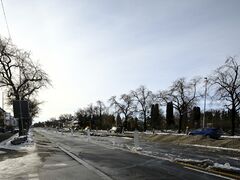 Am Abschnitt beim Abzweig der Meier-Helmbrecht-Straße. Blickrichtung Waldfriedhof. Auch hier ist der Mittelstreifen entlang der Fürstenrieder Straße bereits freigelegt. Alle Bäume, Büsche und Leitplanken wurden entfernt. November 2024.