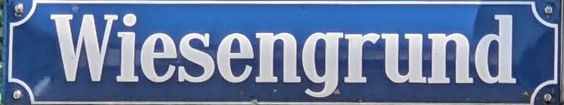 Datei:Wiesengrund.jpg