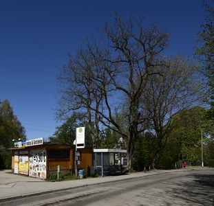 Johanneskirchen, Bushaltestelle Bahnhof Johanneskirchen an der Musenbergstraße mit Kiosk