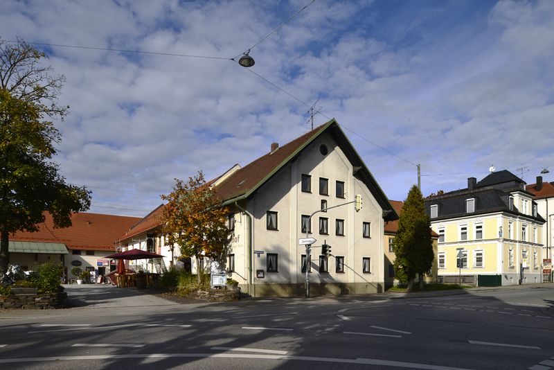 Datei:Mueplinganser6102016c85.jpg
