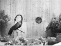 Vorschaubild der Version vom 11:54, 13. Nov. 2011