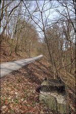 Mueisartalweg2010c.jpg