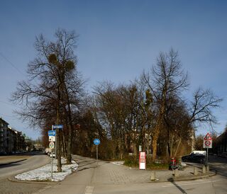 Muespitzingplatz012024f.jpg