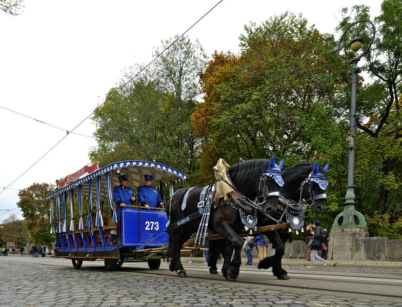 Datei:Muemaxibrueckpferdew273102026z.jpg